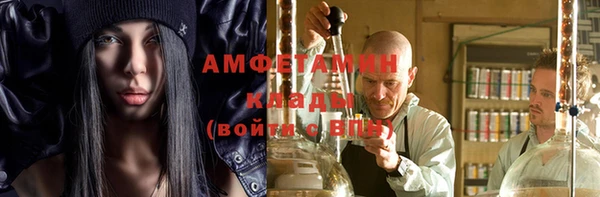 крисы Алексин