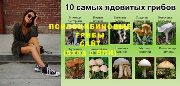 спиды Абдулино
