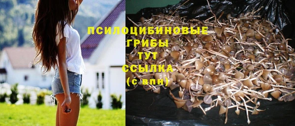 герыч Алзамай