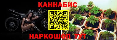 spice Коммунар